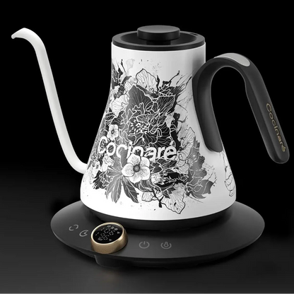 Fast-Heating Electric Gooseneck Kettle